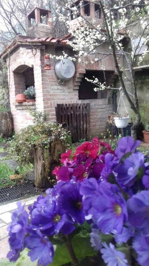 Appartamento Casa Patti Alle Porte Di *